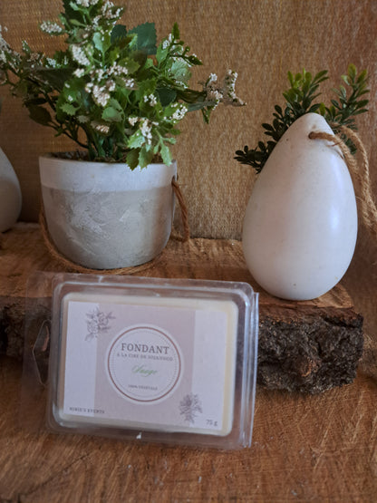 CLAMSHELL ± 75G : AROMATIQUE